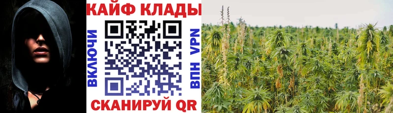 Где продают наркотики Александров Марихуана COCAIN ГАШИШ Мефедрон