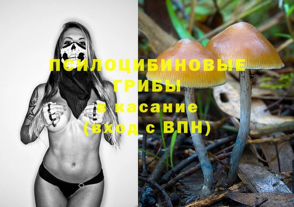 ГАЛЛЮЦИНОГЕННЫЕ ГРИБЫ Абинск