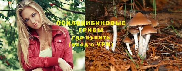 индика Абдулино