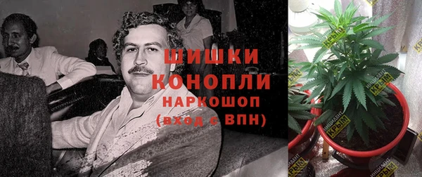 ГАЛЛЮЦИНОГЕННЫЕ ГРИБЫ Абинск