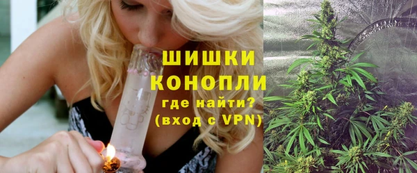 индика Абдулино