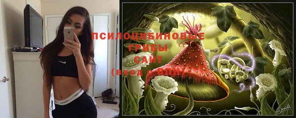 индика Абдулино