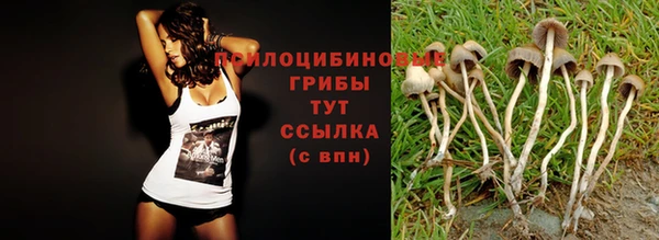 кокаин колумбия Абаза